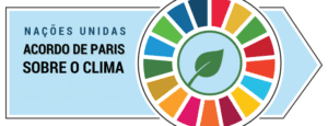 Leia mais sobre o artigo Energia solar é fundamental para alcance de metas do Acordo de Paris, aponta debate.