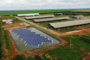 Leia mais sobre o artigo Energia solar reduz os custos de produção nas fazendas e estimula a irrigação