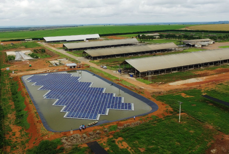 No momento, você está visualizando Energia solar reduz os custos de produção nas fazendas e estimula a irrigação