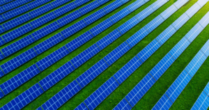 Leia mais sobre o artigo Energia solar: Brasil rumo à liderança na transição energética global
